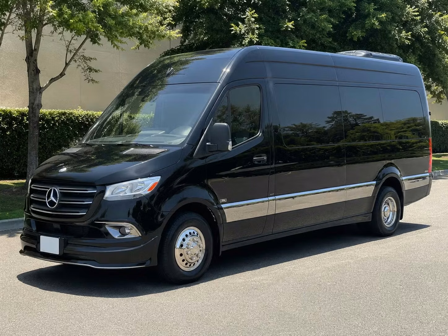sprinter van with driver